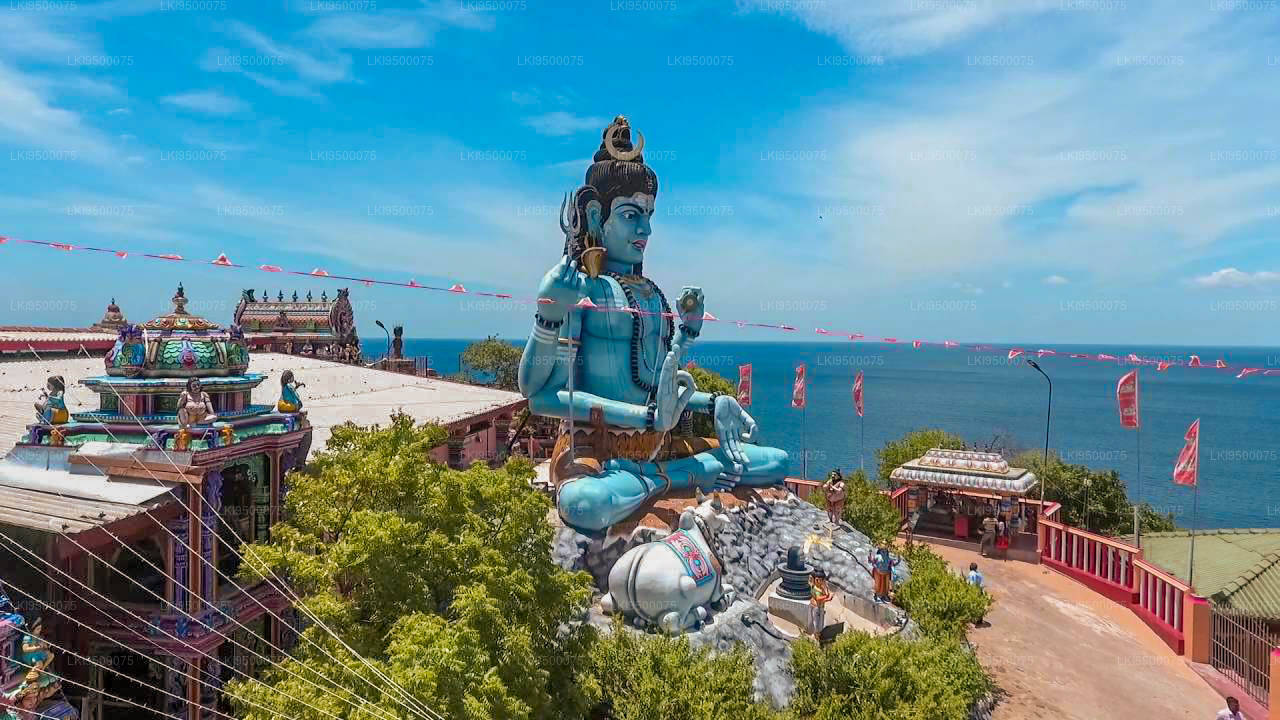 South Coast Riviera & Private Yacht Whale Safari - Biman Tours Best Tour Sri Lanka