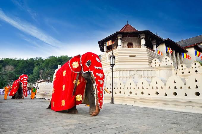 Kandy Sacred City & Cultural Heritage Tour - Biman Tours Best Tour Sri Lanka